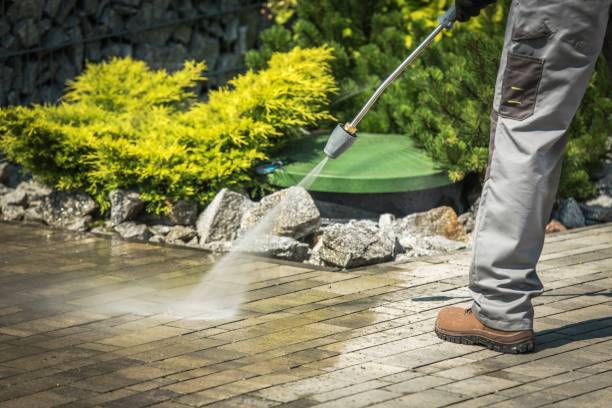 Best Soft Washing  in Duluth, WA