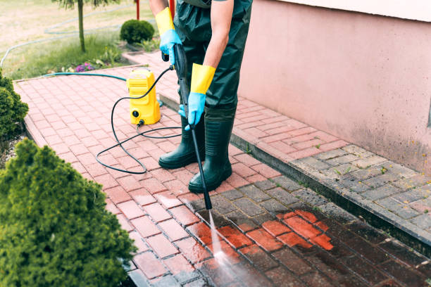 Best Building Exterior Washing  in Duluth, WA