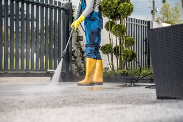 Best Animal Enclosure Cleaning  in Duluth, WA